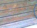 Mannion Says Hire a Pro to Wash A Deck the Pro Way!