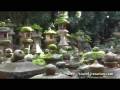 videos de 日本奈良 Nara Japan
