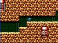 Megaman: Dr. Wily\