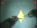 video still placeholder