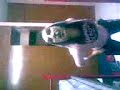 sexy movimiento 2