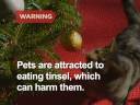 master the art--and it is an art--of hanging garlands and tinsel on your christmas tree.