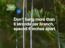 How To Hang Garlands and Tinsel on a Christmas Tree