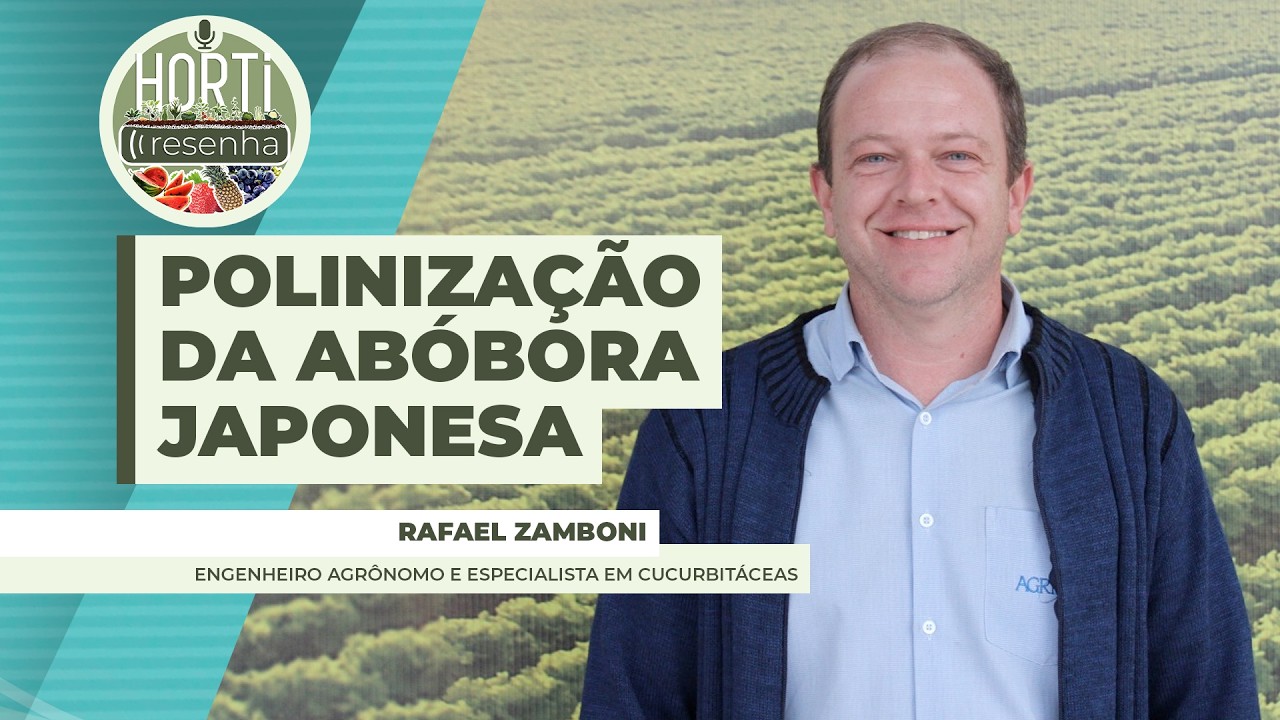 HORTI RESENHA #140 - Polinização é um dos principais gargalos no cultivo da abóbora japonesa