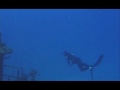 NoTanx Wreck Freediving NoTanx Wreck Freediving
