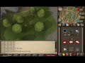 Runescape 1-99 Woodcutting and Firemaking Guide (the easy way)