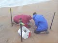 Turtle Rescue