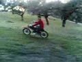 persiguien2 al curoooo!!!