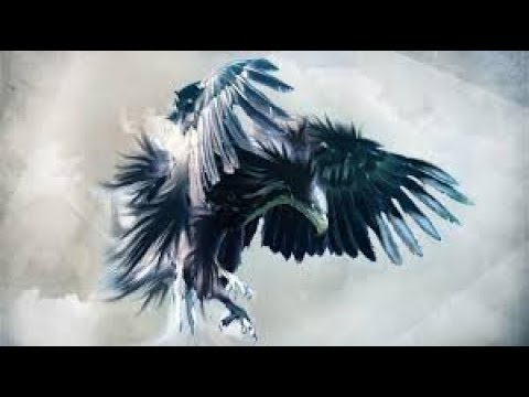 Knife defence eagle strike. 01.12.17 Knife defence eagle strike. 01.12.17
