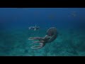 Sea Monsters: a Prehistoric Adventure Sea Monsters: a Prehistoric Adventure