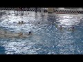 Нажмите для просмотра : Переходной турнир 5 игра ТОРНАДО Воронеж - Астрахань