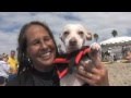 Surf City Surf Dog PromoShort