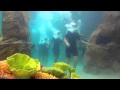 Grand Reef