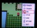 Part 1 - How to chain - How to get shinies on the pokeradar