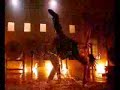 Cinema: TOM YUM GOONG Capoeira X Muay Thai Cinema: TOM YUM GOONG Capoeira X Muay Thai