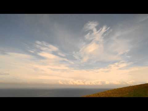 Gary McDonald - Veritas