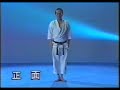 karate shotokan    tekki nidan