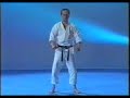 karate shotokan    tekki nidan