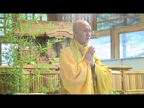 NIKAYA Giảng Giải -Lòng Tin Bất Động 1 -Trí Tuệ Hoan Hỷ &Trí Tuệ Tốc Hành- Kinh SARAKANI,Tương Ưng 5