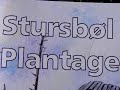 Stursb�l Plantage - a hurricane flattened forest