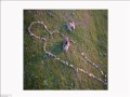ana mendieta.wmv
