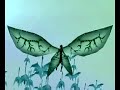 prehistoric Flying machine prehistoric Flying machine
