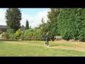 Leukaemia/Bone Marrow Transplant 11: Great news