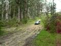 the jeeps 4wding adventure
