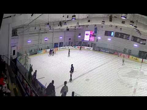 Matthew Ziegenfuss 2010 AA Goalie Highlights January and February 2025