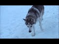 YouTube - Astra Heights - &The March&