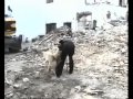 Perros ARCÓN Bomberos Diputación Cádiz, Ayuntamiento Almería