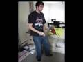 Bwings Dance Party