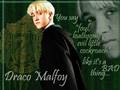 The Foil (Draco Malfoy)- Harry and the Potters