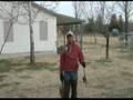 How to Hunt with Bird Dogs   Hunting Dog Training Tools