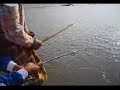 Siakap 21KG