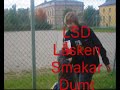 Damp in Sundsvall