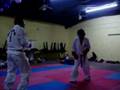 Taekwondo Fradejas