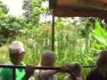 Jungle Cruise Hong Kong Disneyland