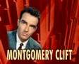  - MovieZen Video