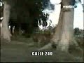 Cuba: Secretos de Furry Colome Ibarra  y otros dirigentes  5