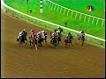 Ghostzapper - 2004 Breeders Cup Classic