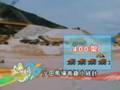 沙田馬場有趣小統計