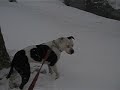 blizzard blizzard