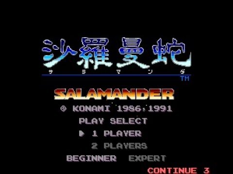 動画