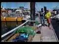 BARCOS PET NO BAHIA NAÚTICA