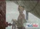 wet�n wild�n padre!!