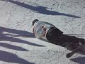 Kanna falling down again...
