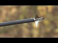 Monster Deer Bow Kill