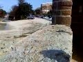 huida de toros por el centro de Cádiz