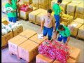 CASA DE IMAGENS - FLOR ARTE